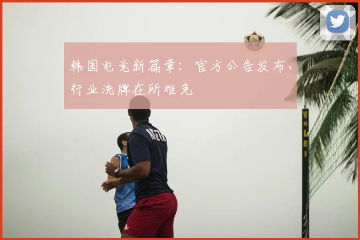 韩国电竞新篇章:官方公告发布,行业洗牌在所难免