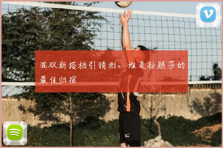 混双新搭档引猜测,谁是孙颖莎的最佳归宿